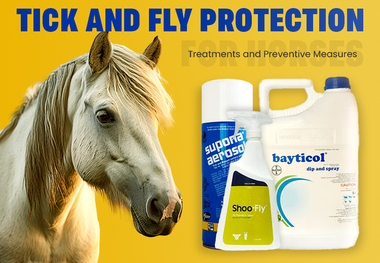 Comprehensive Guide to Tick and Fly Protection for Horses: Treatments and Prevention Tips